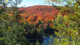 Fall Colors on the Oxtongue