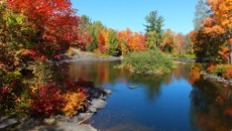 Fall on the Oxtongue River