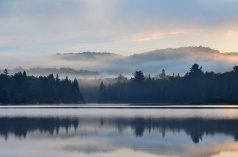 Foggy Morning on Oxtongue Lake