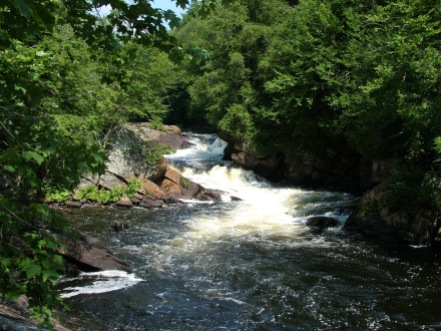 Hogs Trough on the Oxtongue River